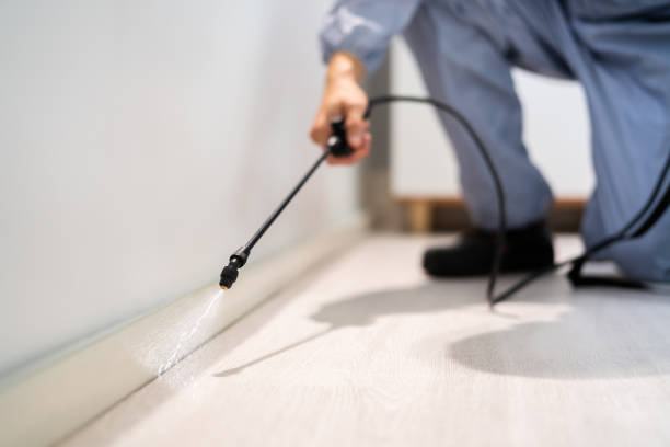 Wasp Removal Services in Garrison, MD