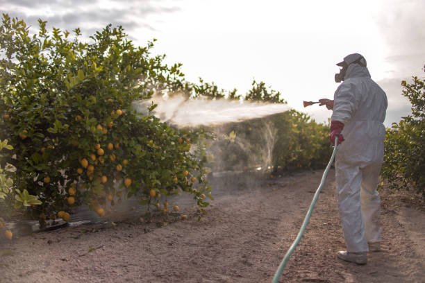 Best Pest Control Near Me  in Garrison, MD