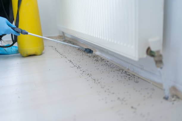 Best Affordable Pest Control Services  in Garrison, MD