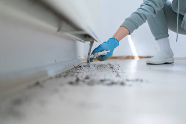 Best Mosquito Control Services  in Garrison, MD